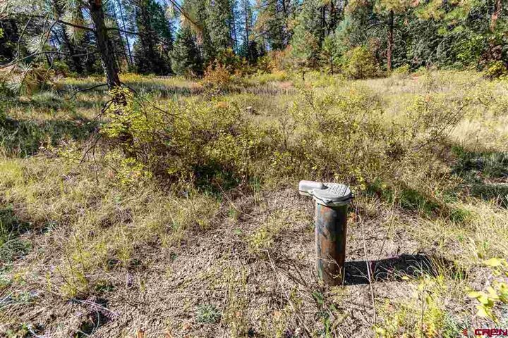 Property Photo:  307 Nature's Way  CO 81147 