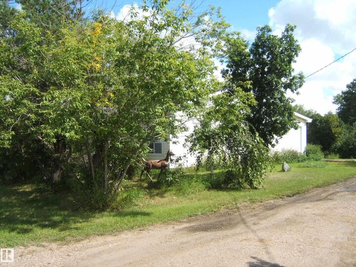 Property Photo:  5029 47 Street  AB T9C 1X1 