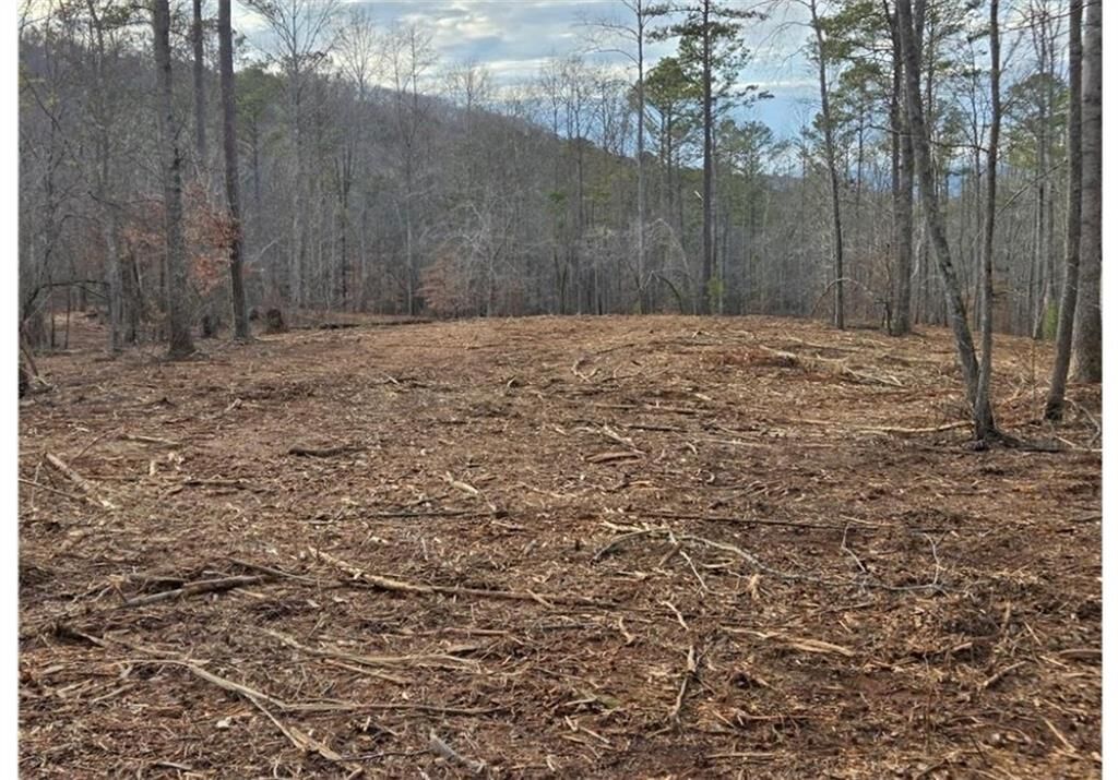 Property Photo:  275 Tippens Road  GA 30114 