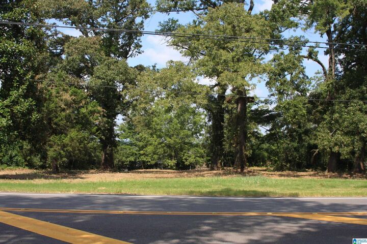 Property Photo: 5714 Smokey Road 0 AL 35040