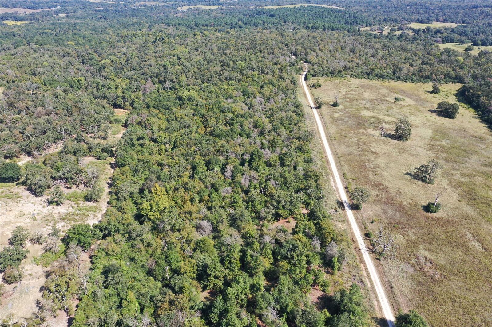 Property Photo: 0 Tbd County Road 322 TX 75846
