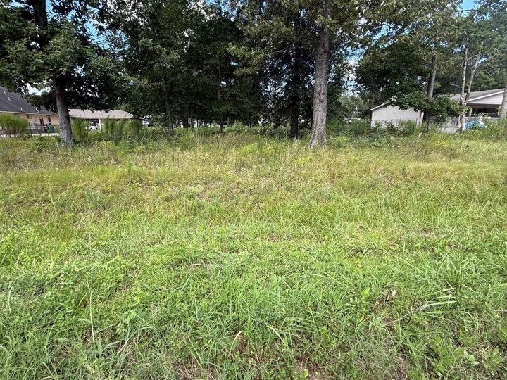Property Photo: 23923 Paper Wasp Lane TX 77357