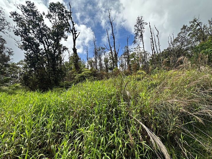 Property Photo:  16-2185 Road 4 (Io Kea)  HI 96771 