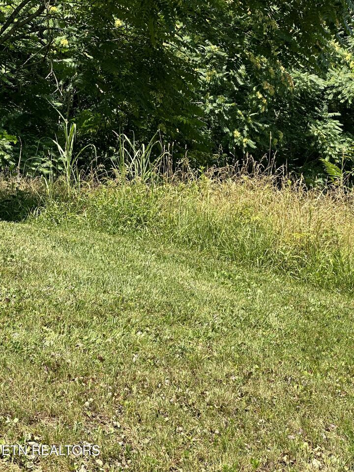 Property Photo:  Bob Wright Lot 32 Rd  TN 37807 