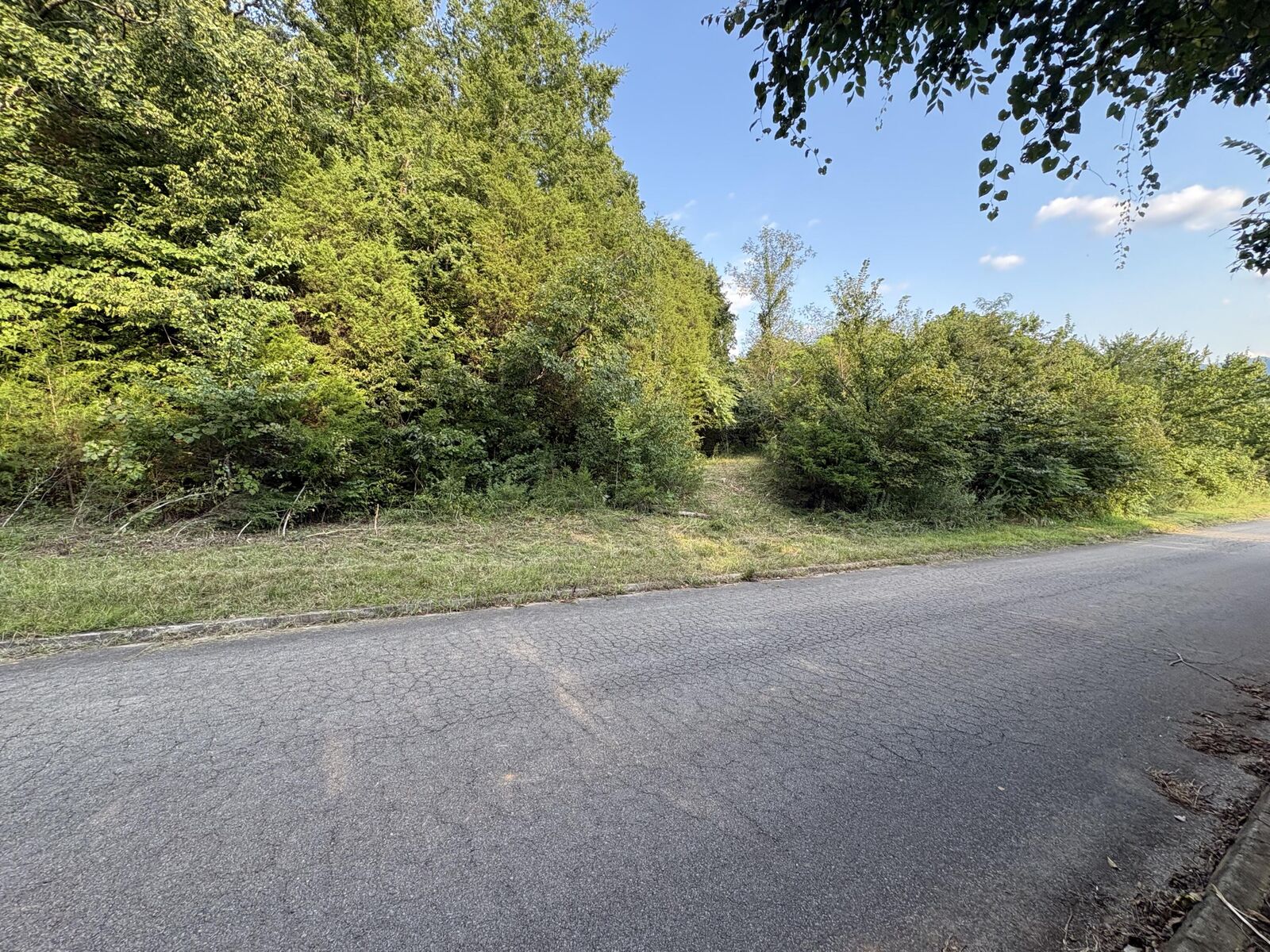 Property Photo: 00 Secluded River Circle TN 37843