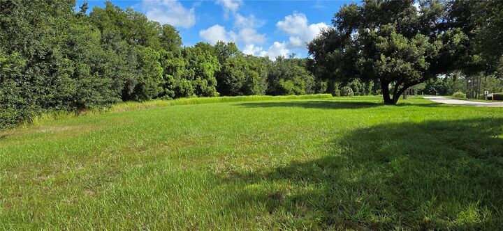 Property Photo: Bellerive Drive FL 34711