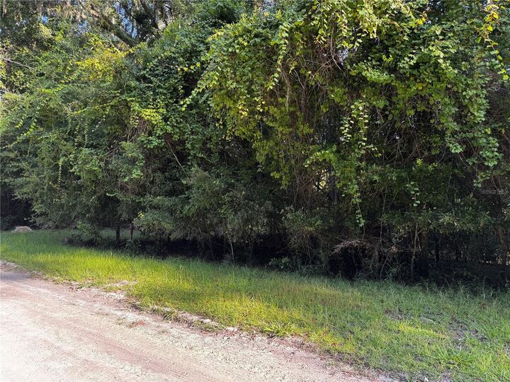 Property Photo: SW Fox Place Lots 38 &Amp 39 FL 32038