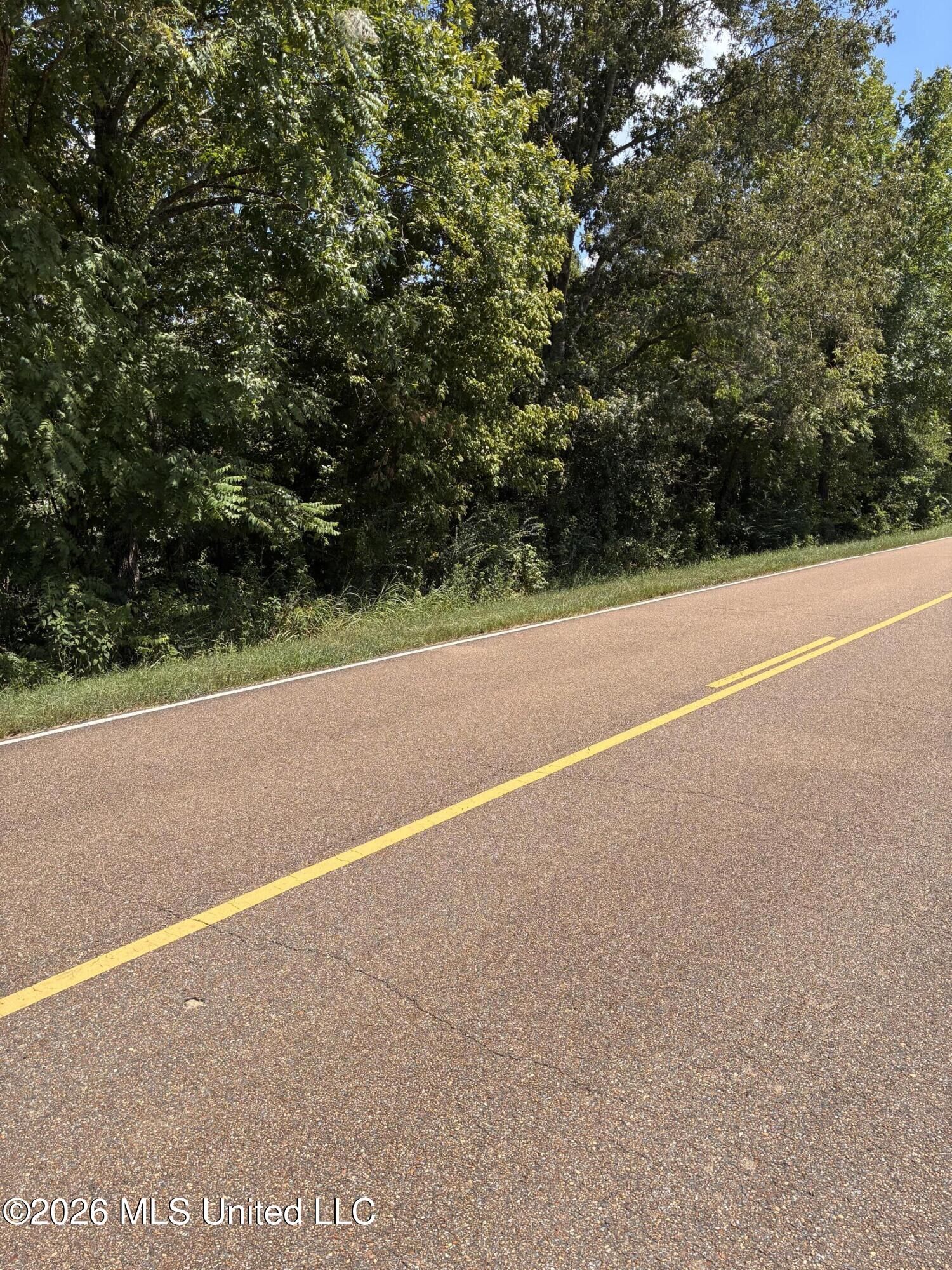 Property Photo:  493 Gus Green Road  MS 39071 
