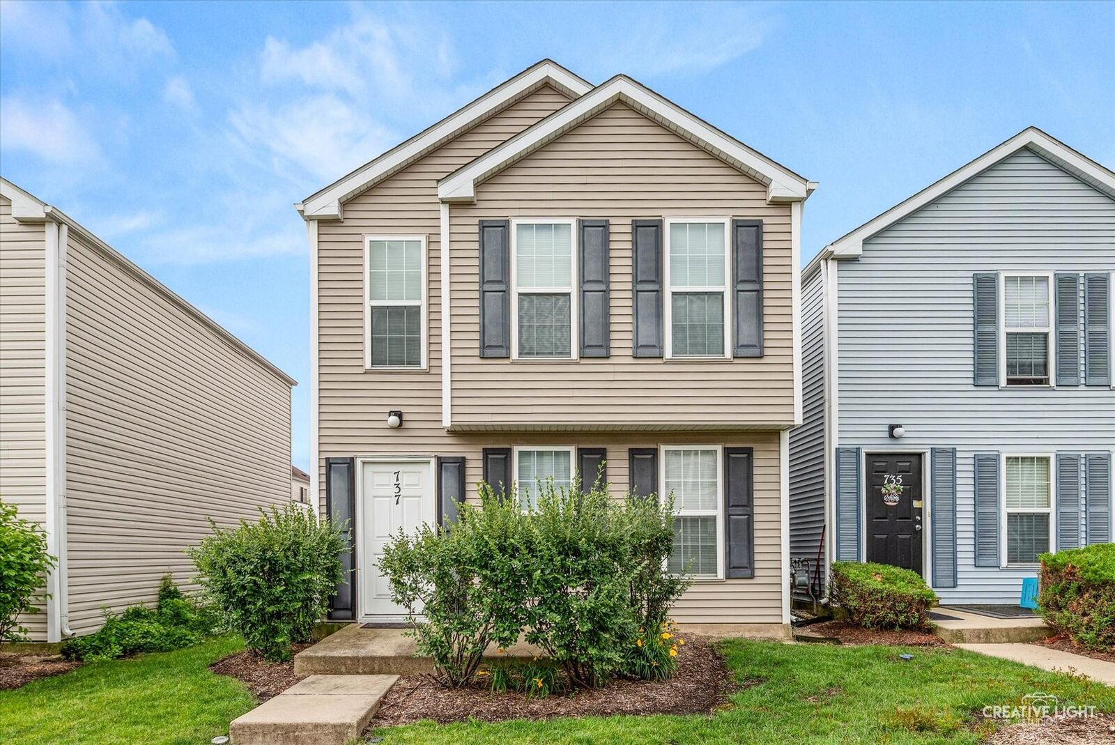 Property Photo: 737 Serendipity Drive 737 IL 60504
