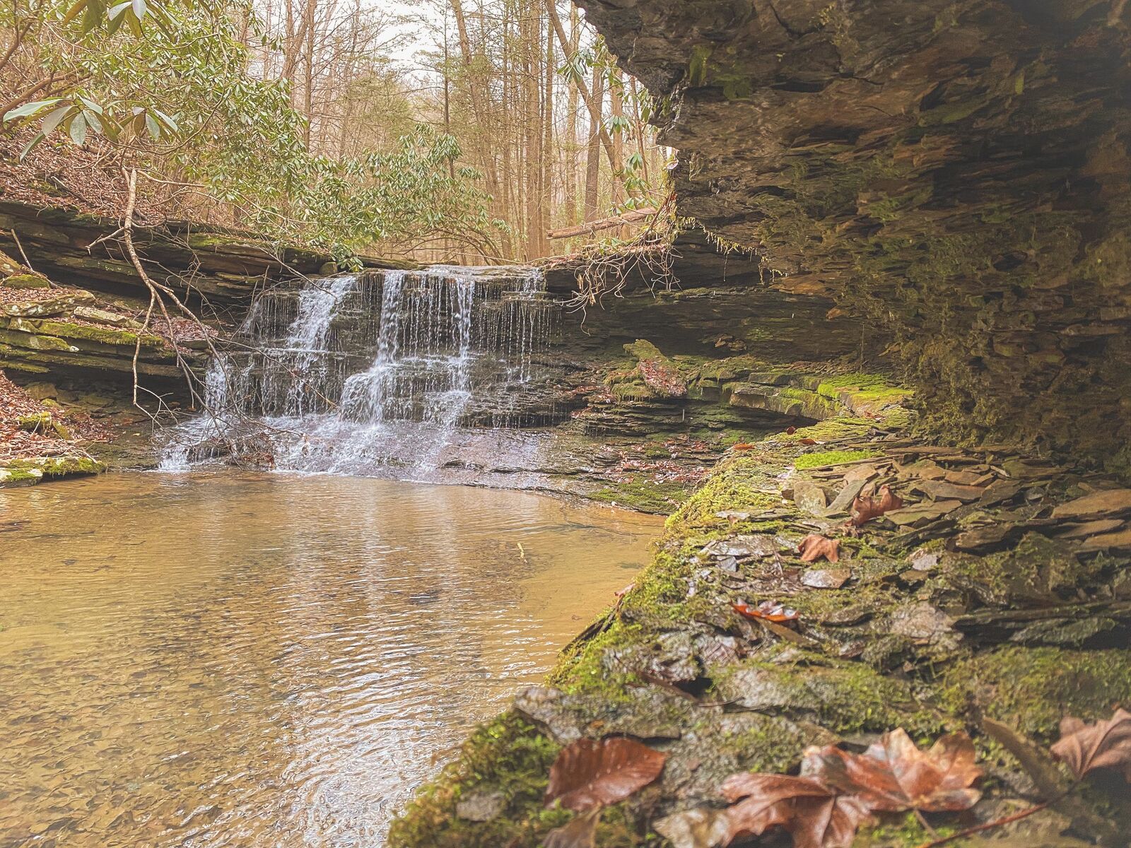 Property Photo: 0 Cherokee Trail TN 37887