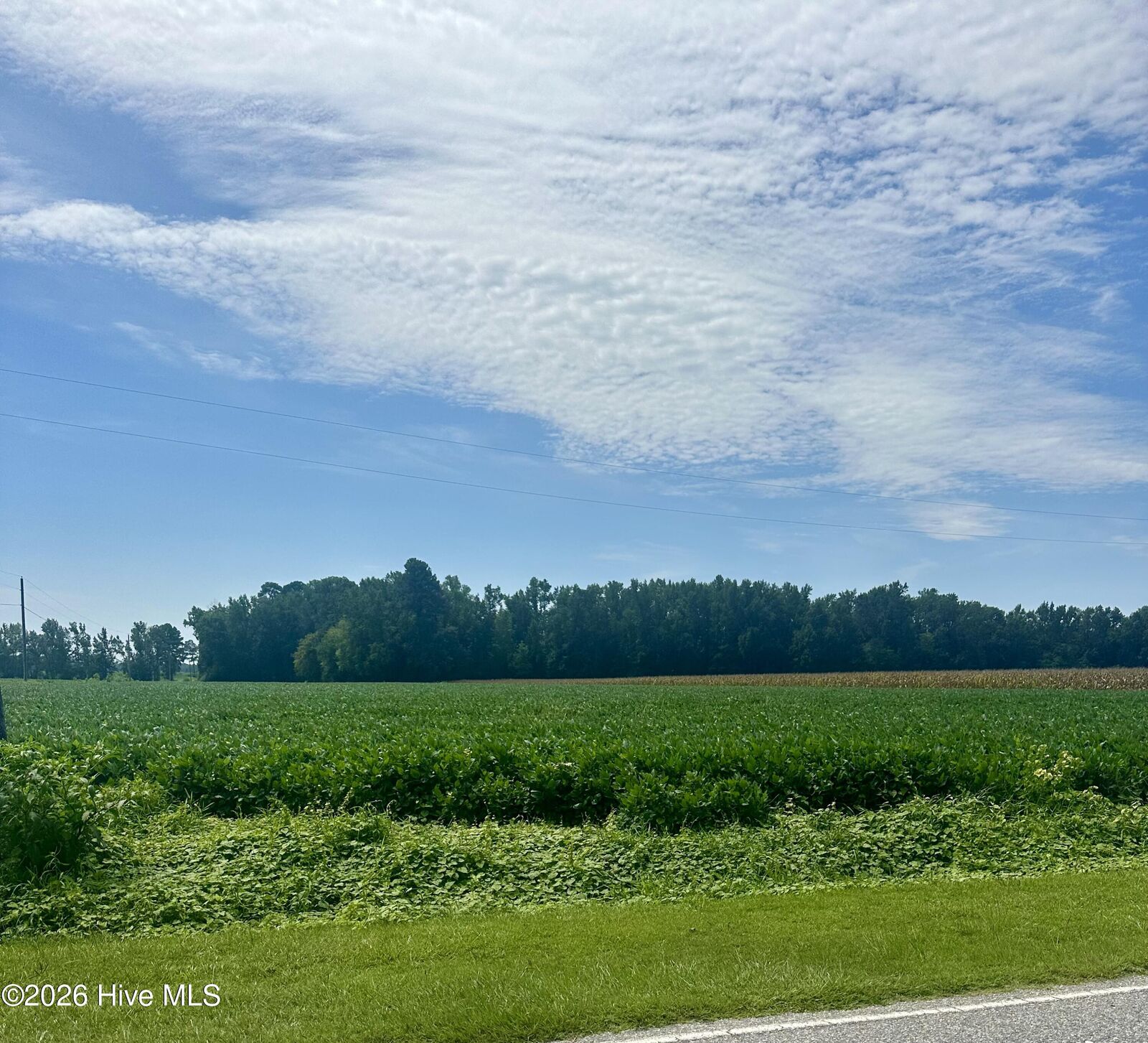 Property Photo:  2645 Braswell Road  NC 28431 