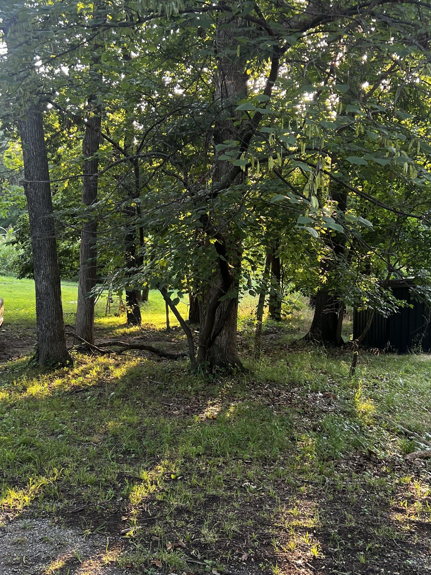 Property Photo: 27 Circle Drive OK 74331
