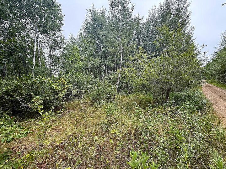 Property Photo: 10046 Legionville Road MN 56401