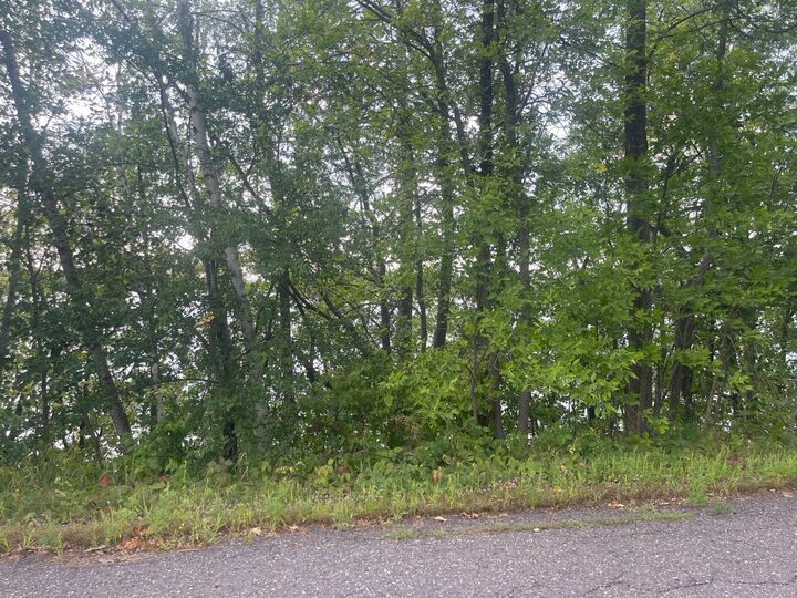 Property Photo:  Tbd Sand Lake Road  MN 55767 