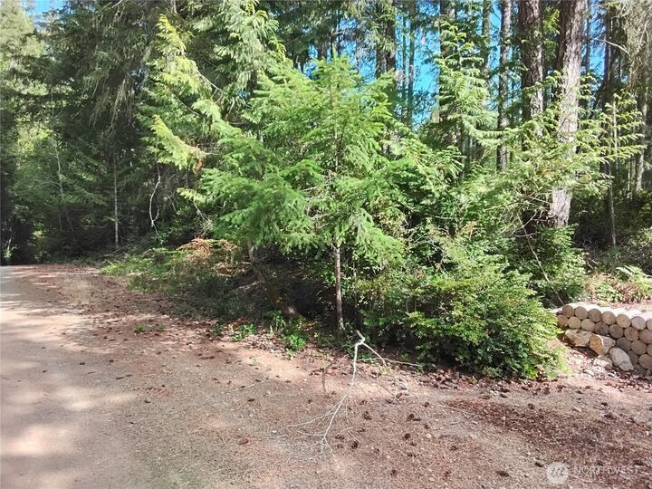 Property Photo:  0 E Frontier Road  WA 98546 
