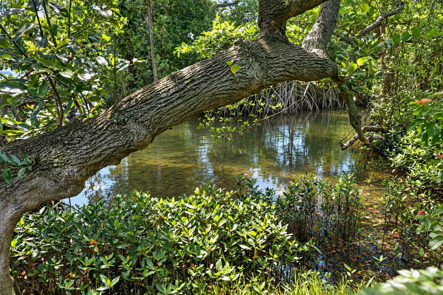 Property Photo:  303 S Delaware Boulevard  FL 33458 