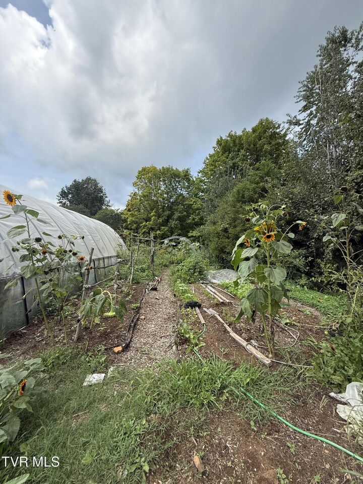 Property Photo:  104 Eggers Lane  TN 37643 