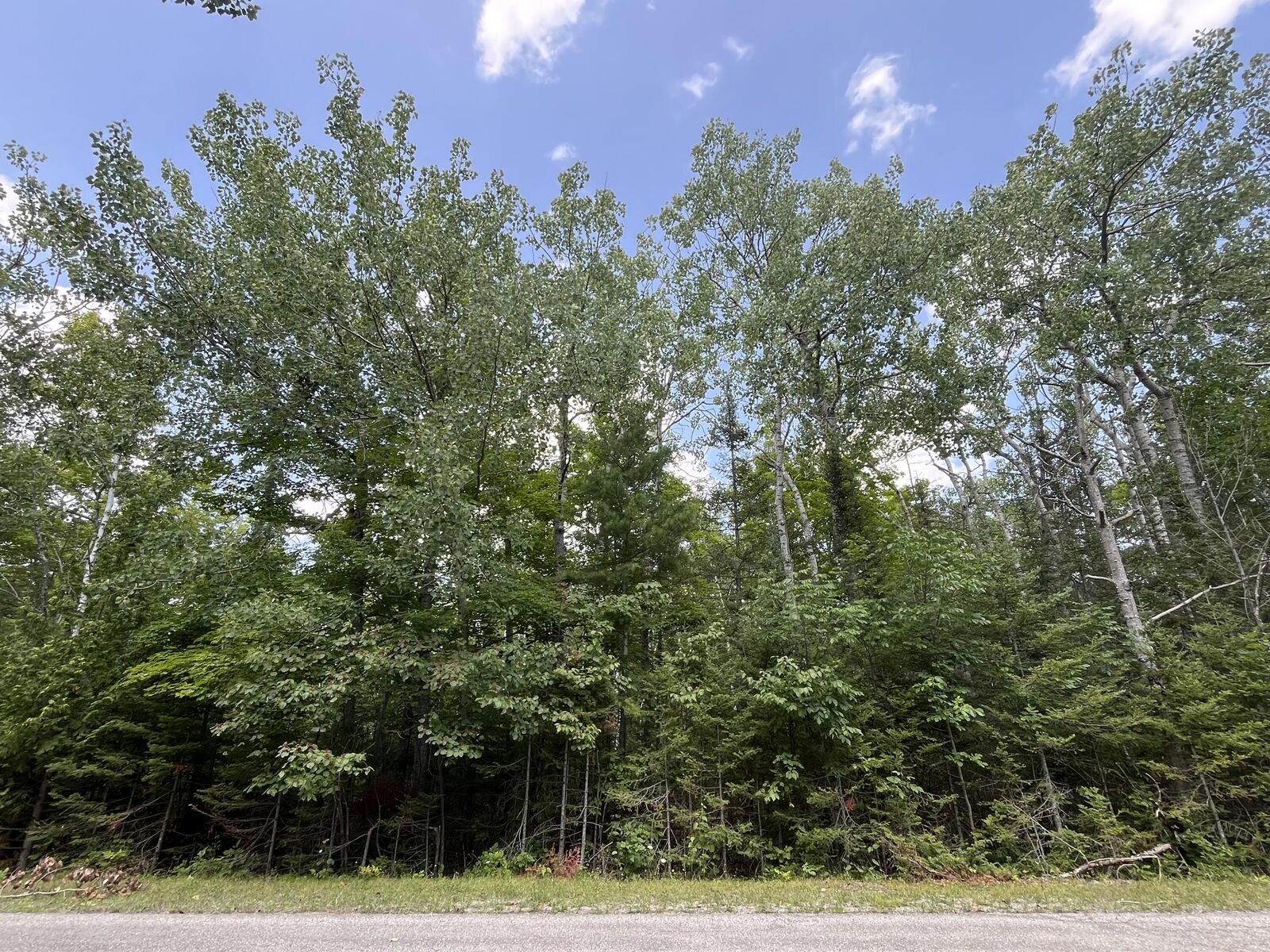 Property Photo: Lot 46 Renwick Circle MI 49777