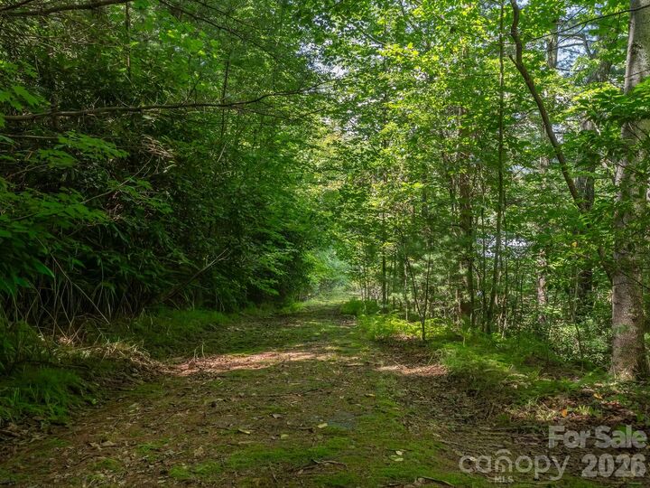 Property Photo:  0 Hebron Road  NC 28792 