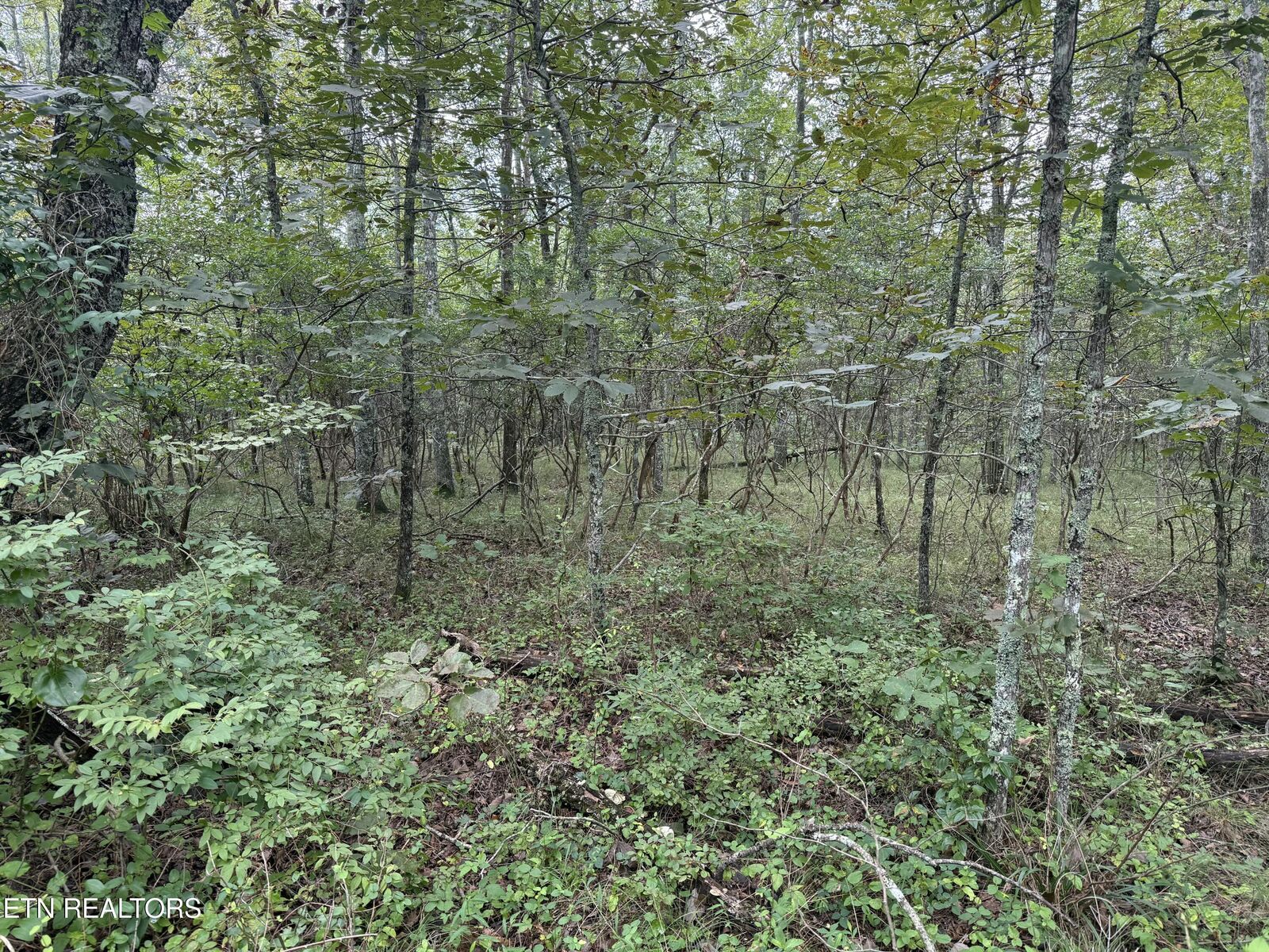 Property Photo:  130 Blackburn Drive  TN 38558 