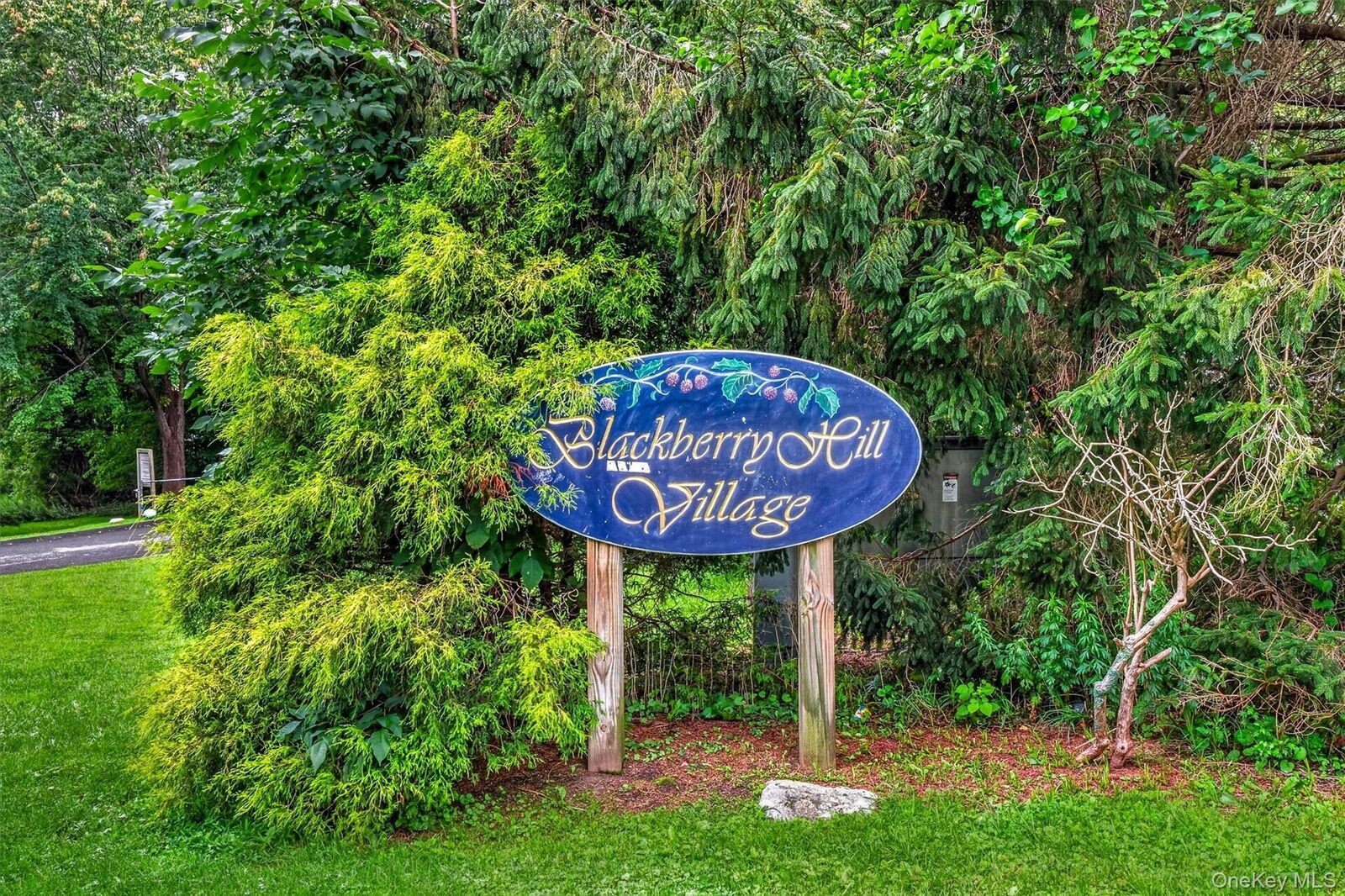 Property Photo:  803 Village Drive  NY 10509 