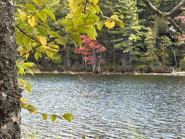 Lot 4 Lakeshore Drive — photo 1