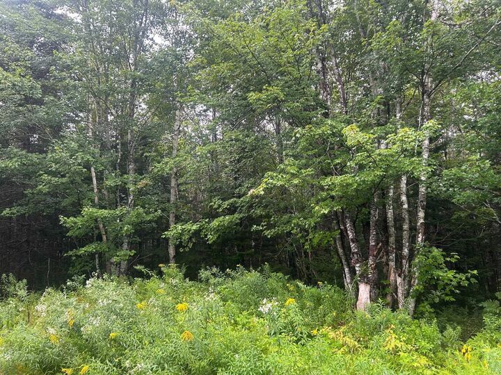 Property Photo:  Lot 8 No 7 Highway  NS B2G 2L3 