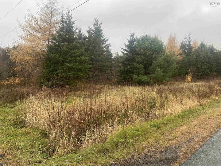 Lot 6 New Cheverie Road — photo 1