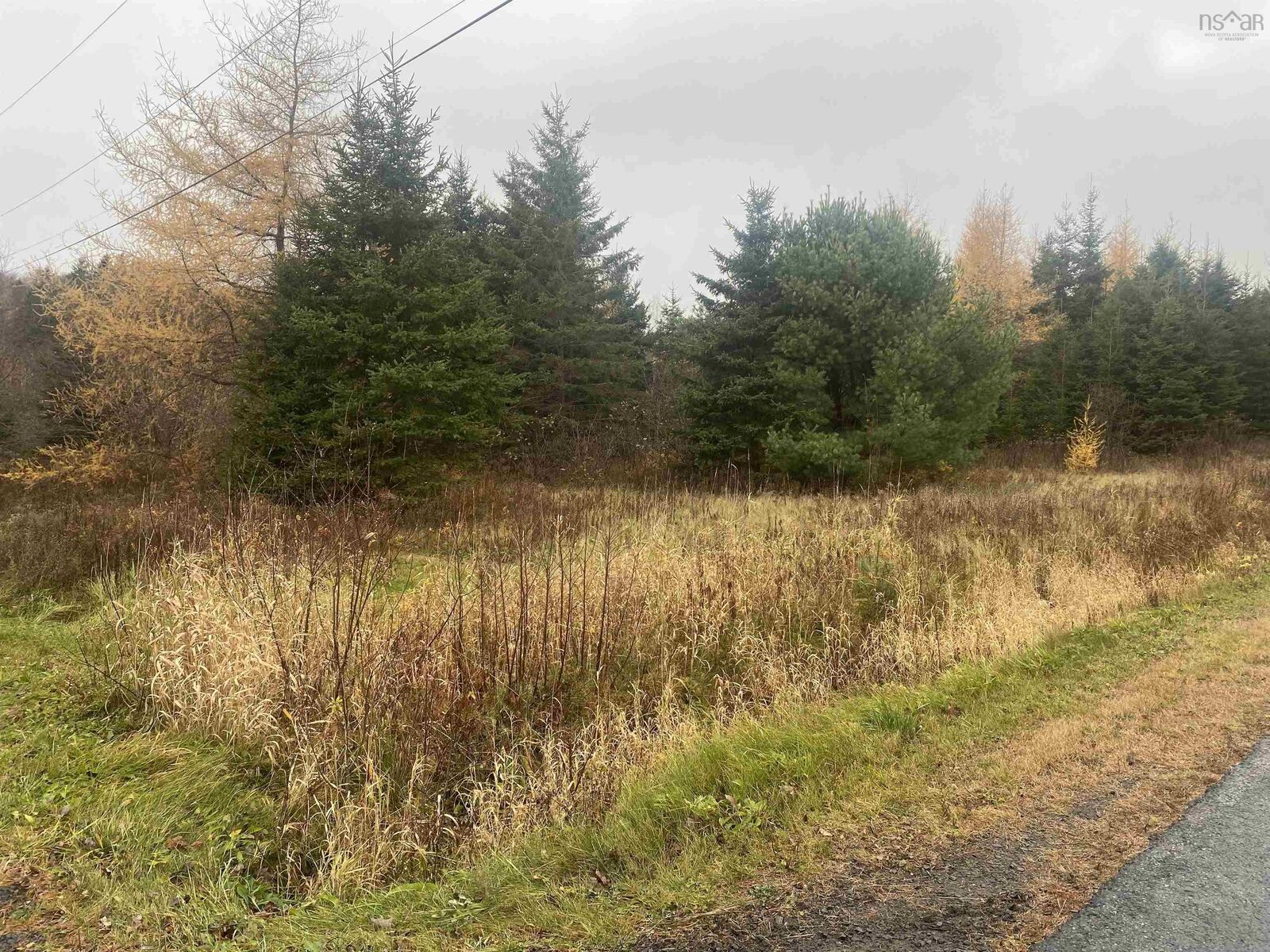 Property Photo:  Lot 6 New Cheverie Road  NS B0N 1E0 