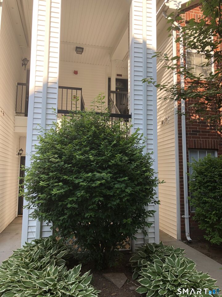 Property Photo:  31 High Street 6203  CT 06118 