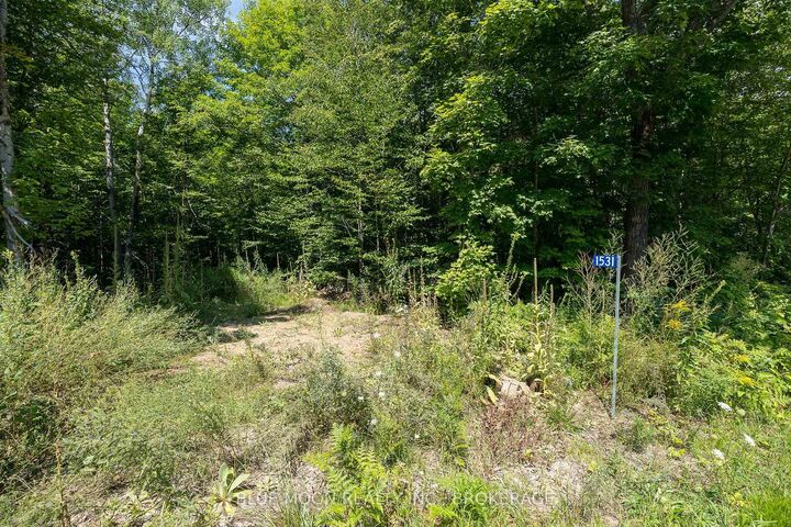 1531 Myers Cave Road — photo 1