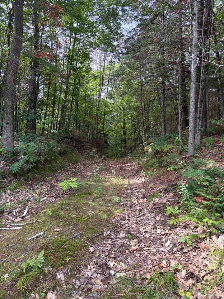 Property Photo:  181 Chemaushgon Road  ON K0L 1C0 