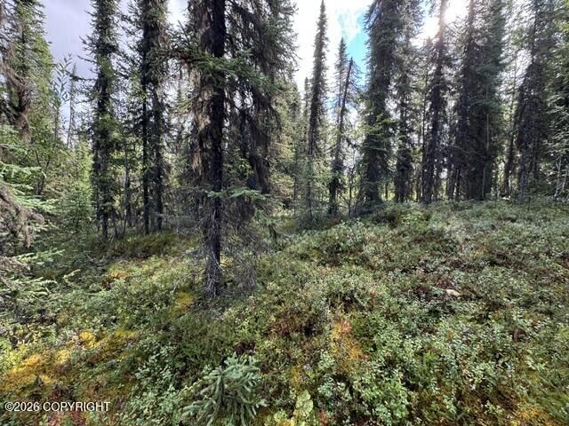 Property Photo:  Tr 15 Funny River Road  AK 99669 