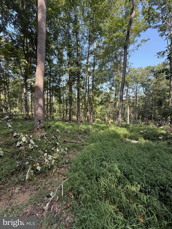 Property Photo:  Sir Johns Run Road  WV 25411 