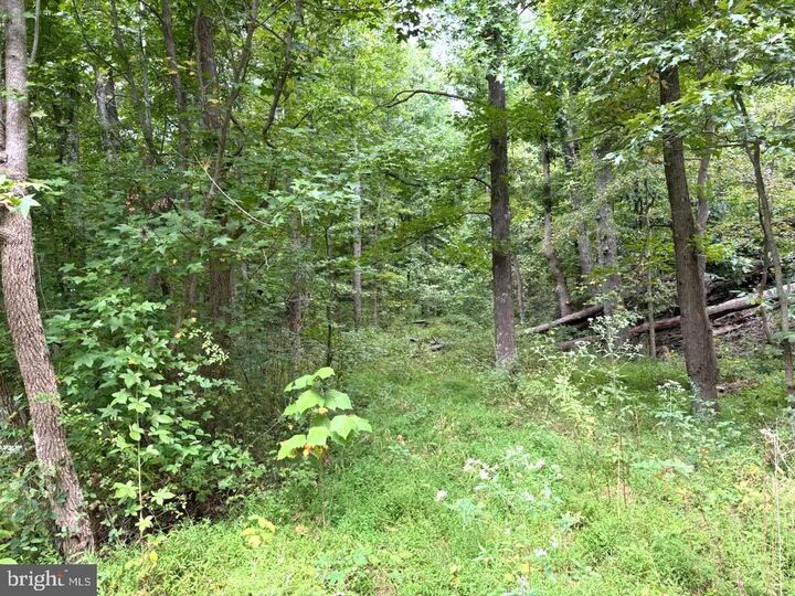 Property Photo:  7522 Bay View Drive  VA 22079 