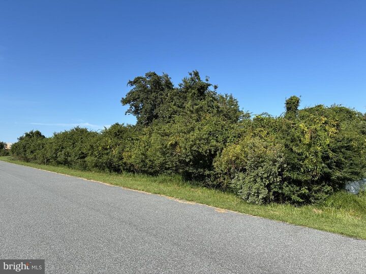 Property Photo:  0 Inlet  MD 21842 