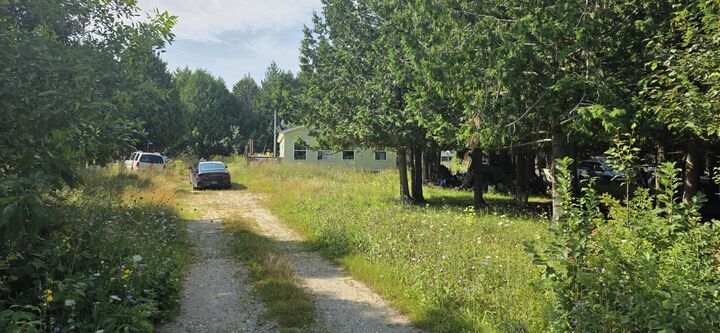 Property Photo: 395 Gorman Rd MI 49781