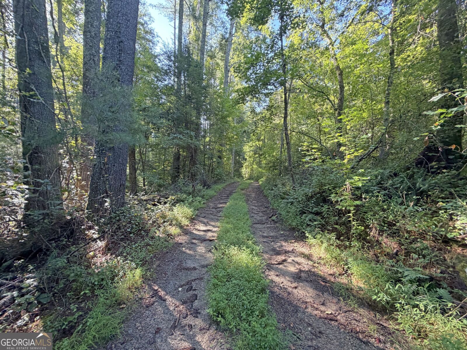 Property Photo:  505 Hank Fry Road  GA 30523 