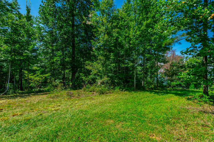 Property Photo:  0 Whiskey Way  TN 37347 