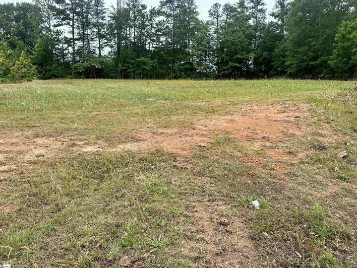 Property Photo: 528 Magnolia Blossom Court SC 29301
