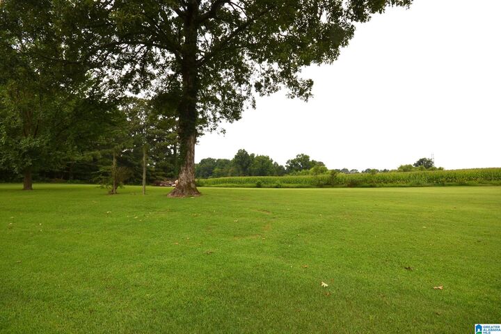 Property Photo:  4433 County Road 1223  AL 35179 