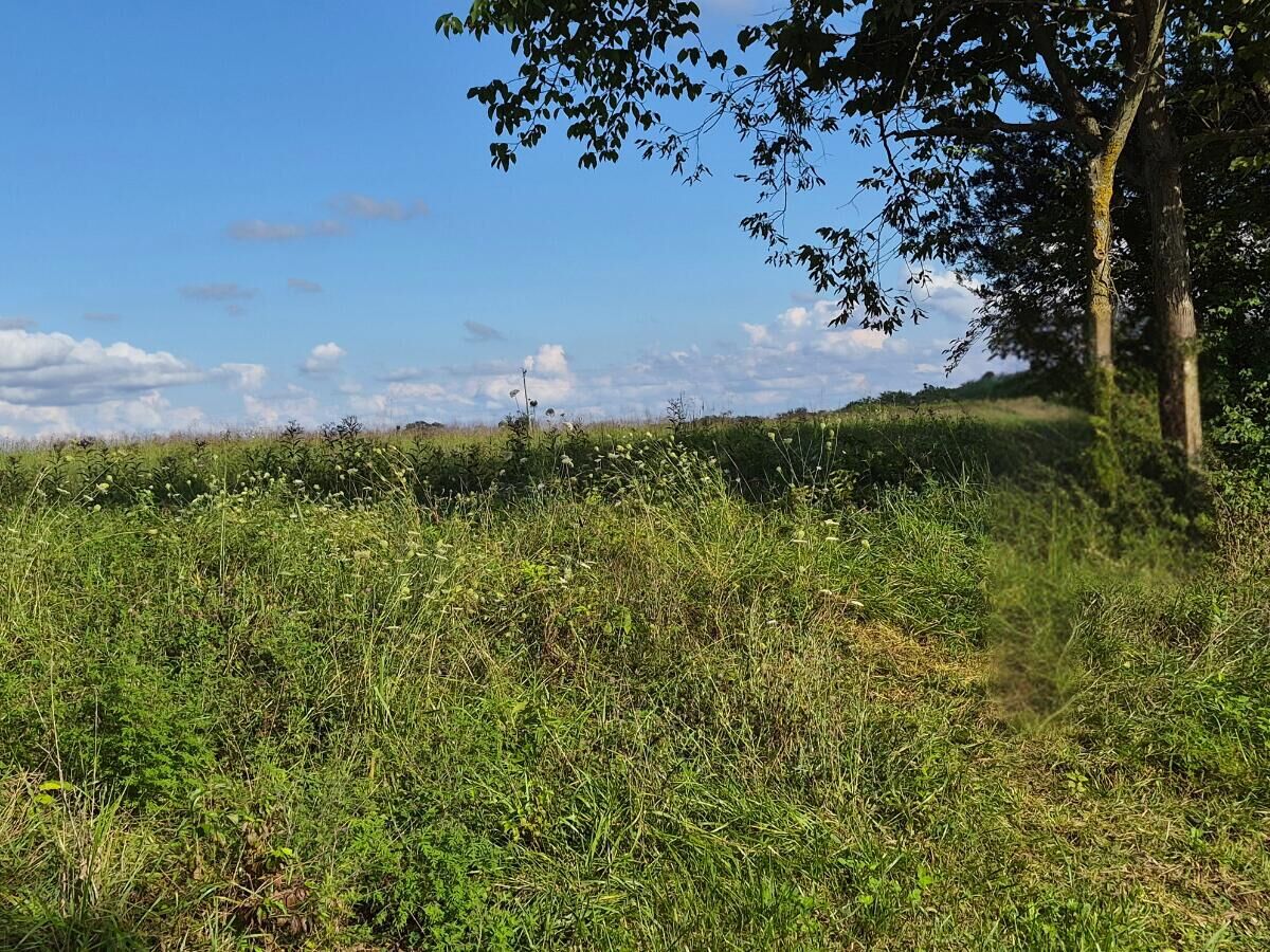 Property Photo:  3 Bohannon Road  KY 40057 