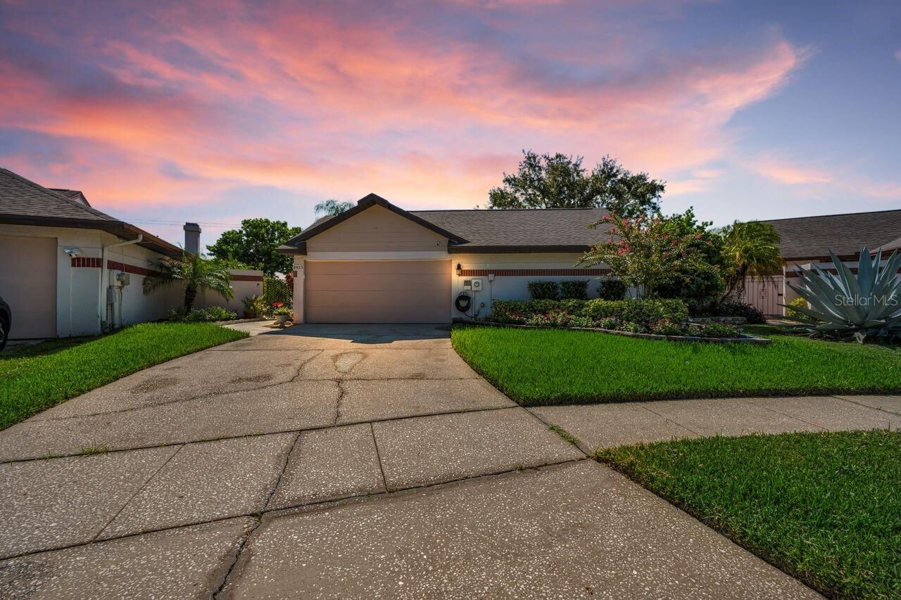Property Photo:  6923 Silvermill Drive  FL 33635 