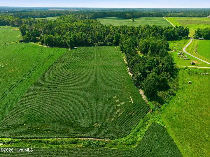 Property Photo:  0 S Nc 111 Highway  NC 28521 
