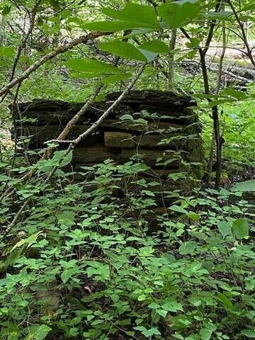 Property Photo: 00 Seven Springs Road GA 30175