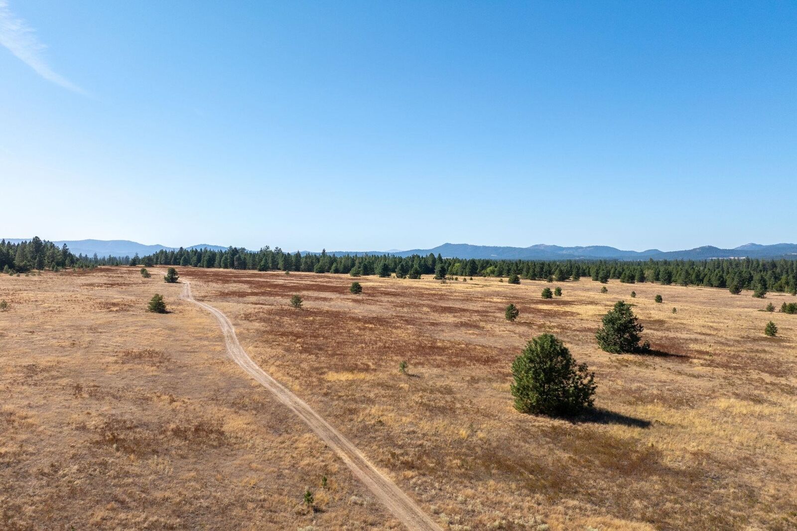 Property Photo: Nka E Slaton Rd Lot 38 WA 99006