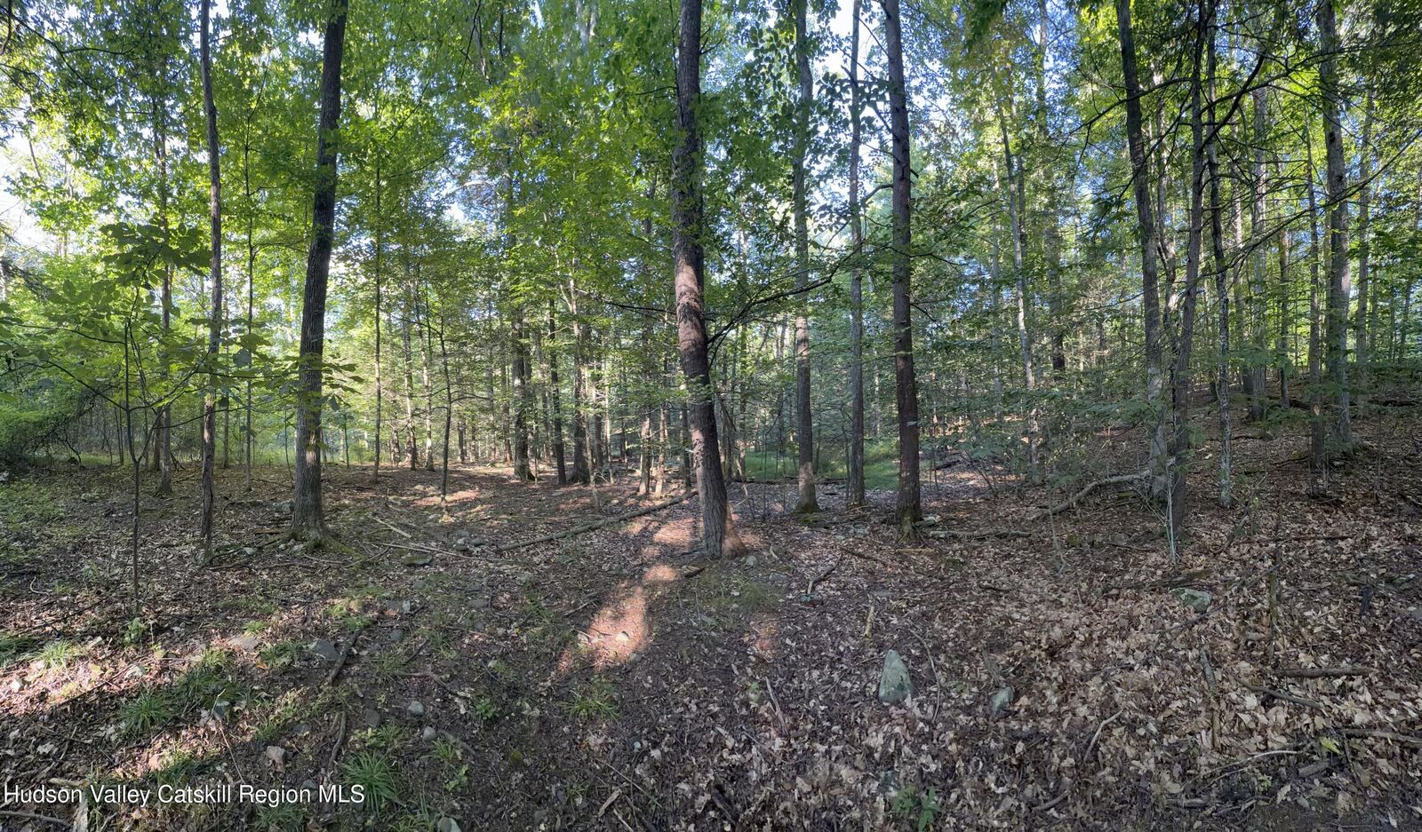Property Photo: Tbd Hidden NY 12457