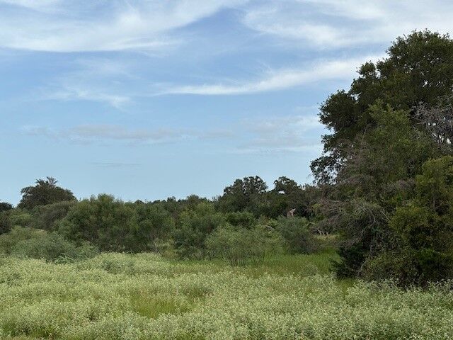 Property Photo: Lot #1 Willis Ln Lane TX 78957