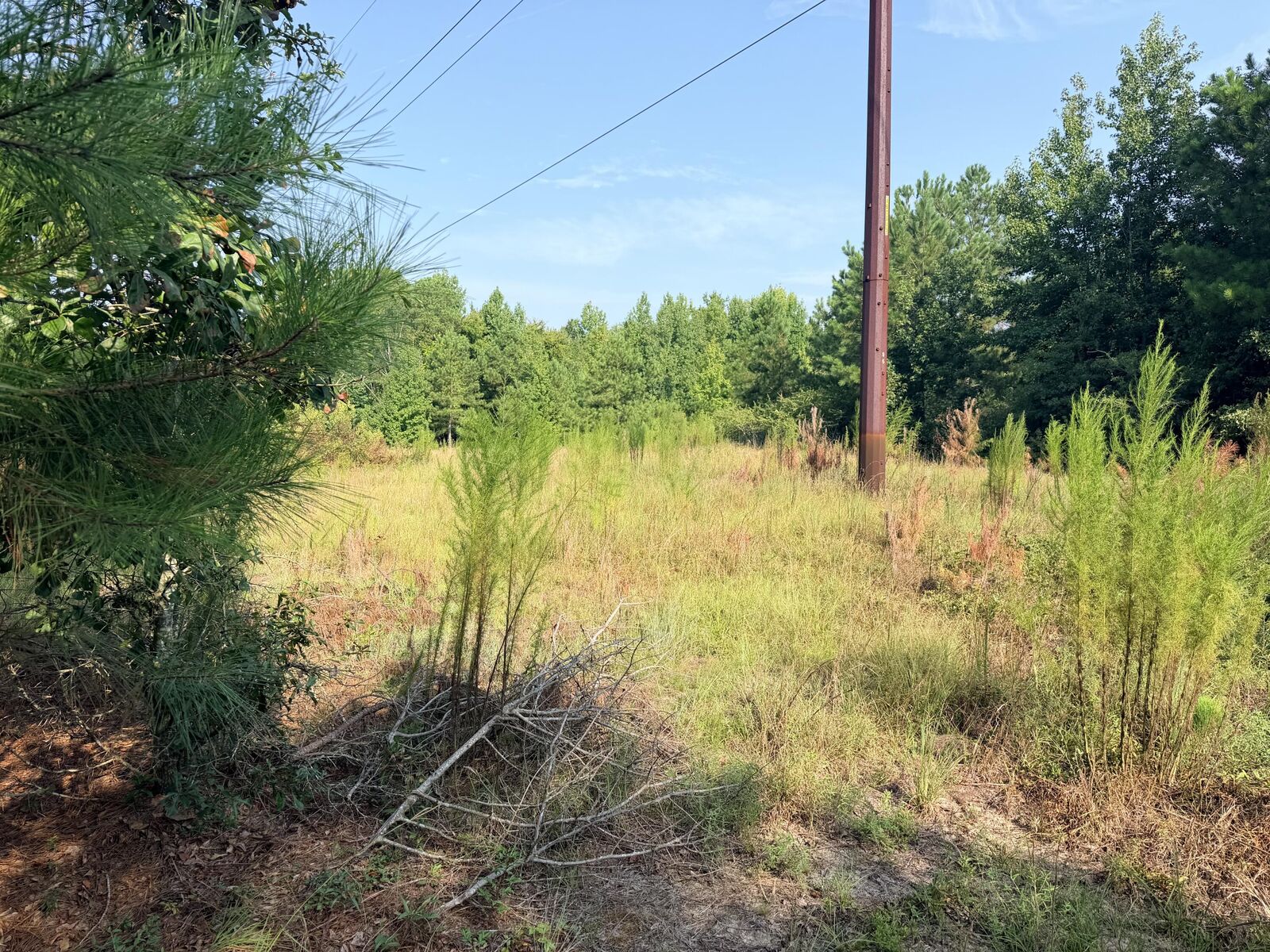 Property Photo: 141 Autumn Chase Lane SC 29842
