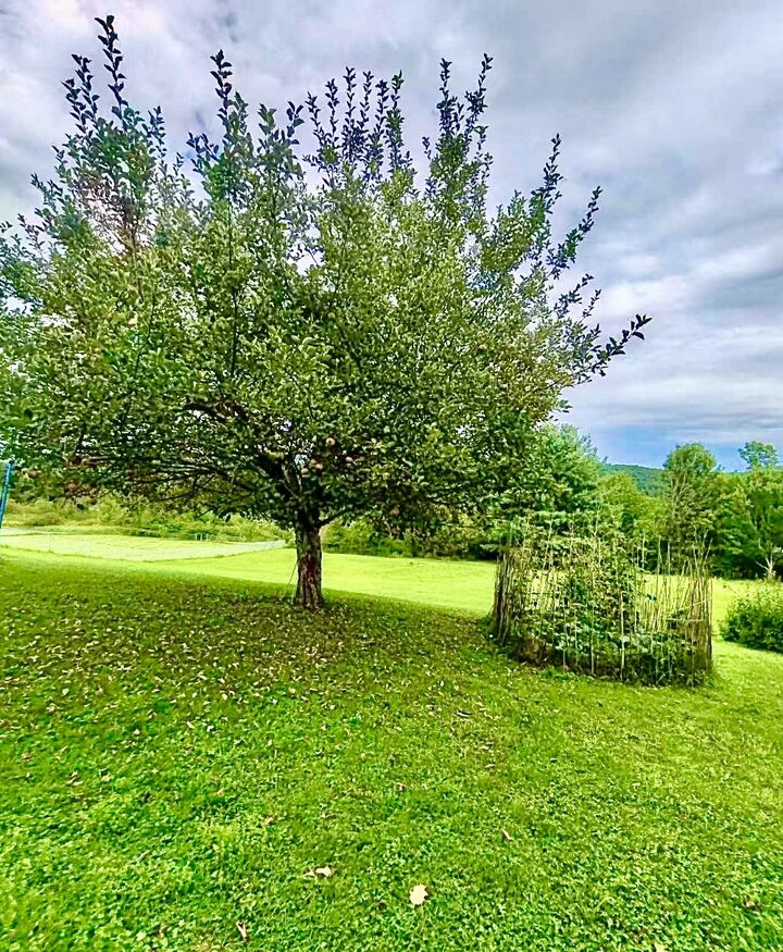 Property Photo: 39 Green Meadow Lane NY 13901